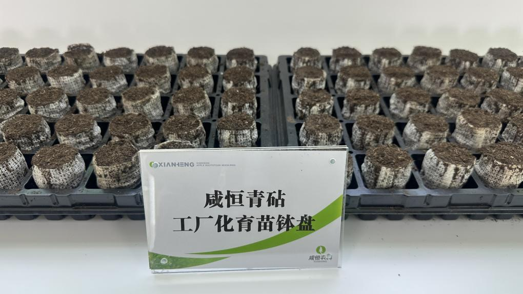 20260204091418971-96-5a832.png 20260204091418971-96-5a832.png