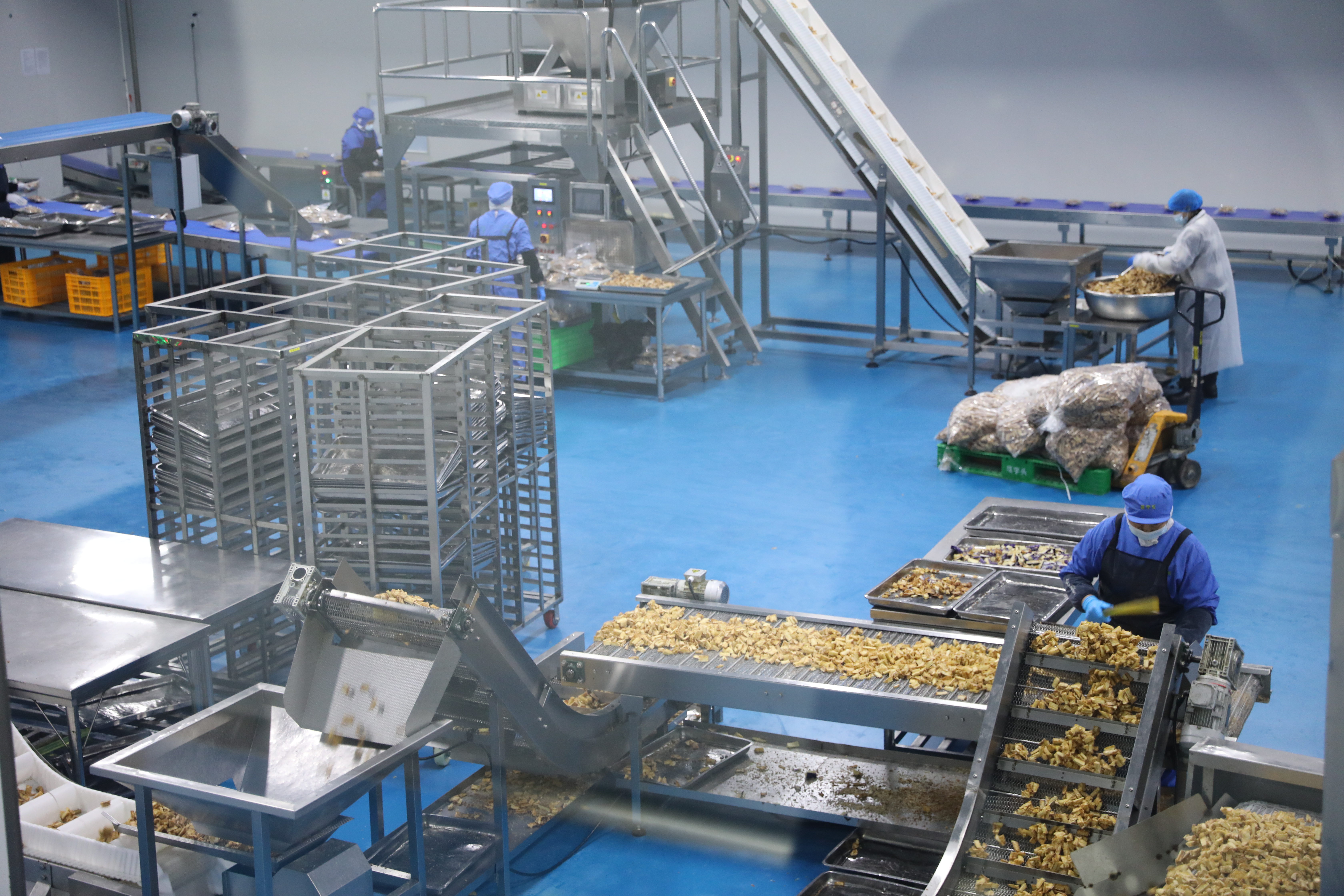 菜字頭食品科技有限公司車間生產(chǎn)現(xiàn)場(chǎng)