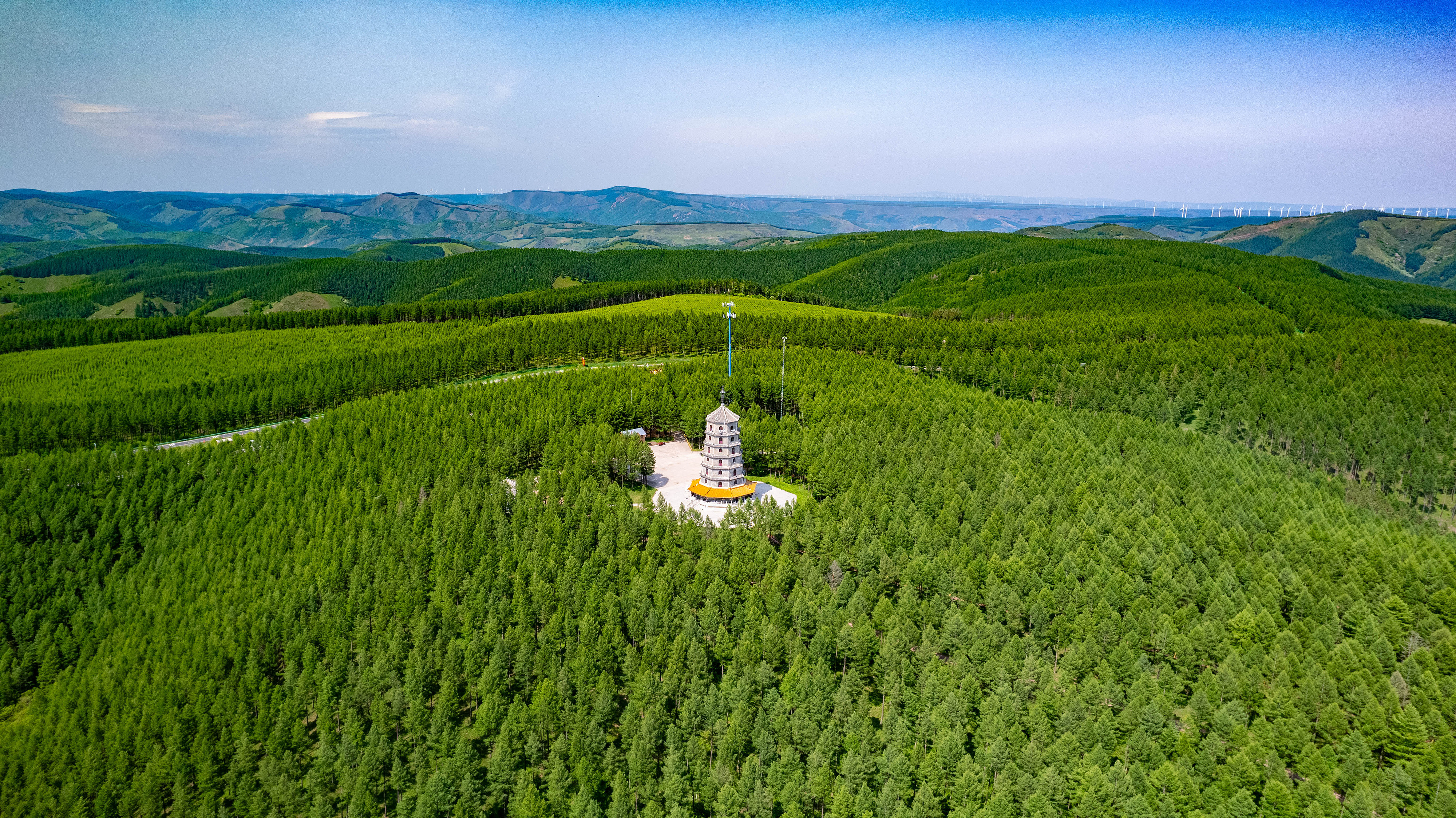 2025年6月11日，河北承德，塞罕壩林海浩渺。